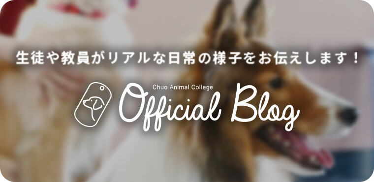 中央動物専門学校 OFFICAL BLOGS