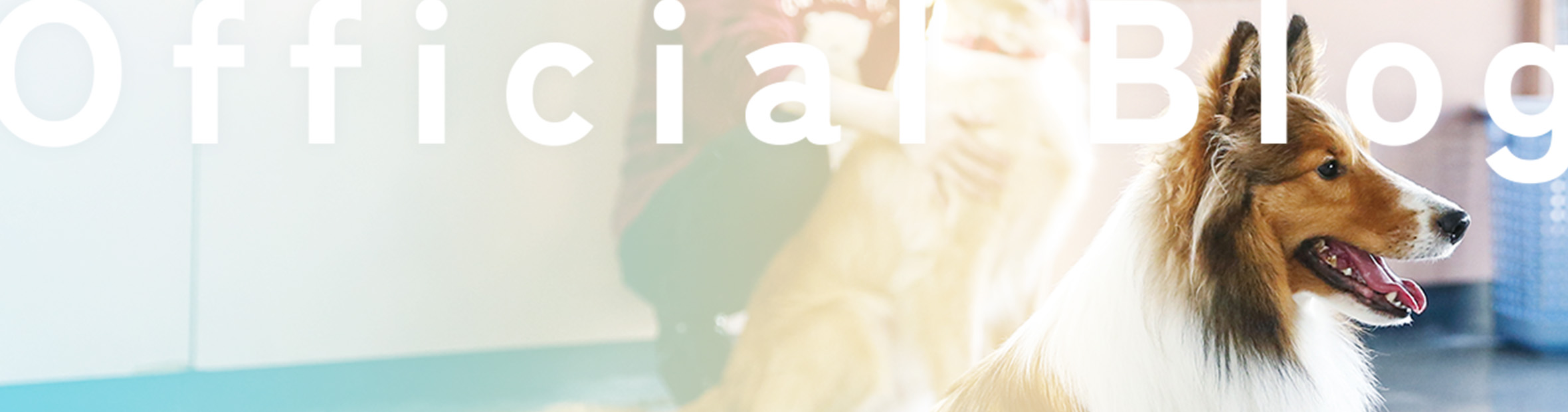 中央動物専門学校のオフィシャルブログです。