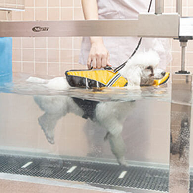 総合型選抜入試