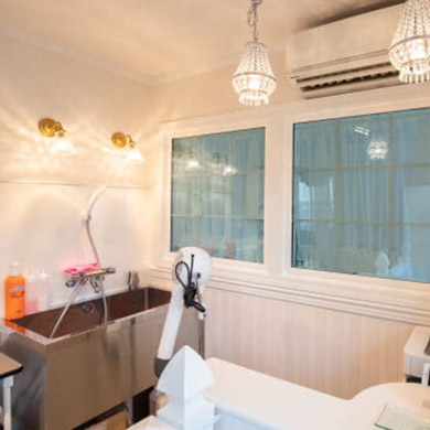 卒業生開業事例