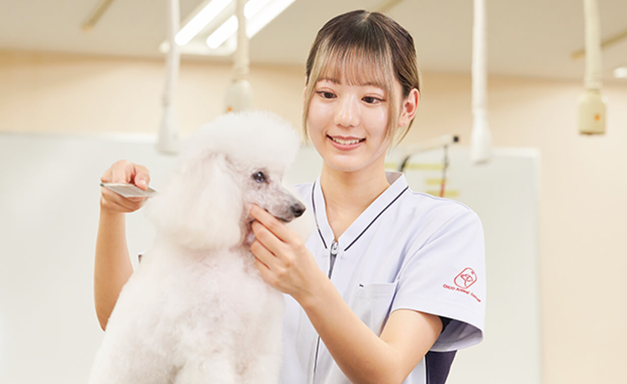 学科概要