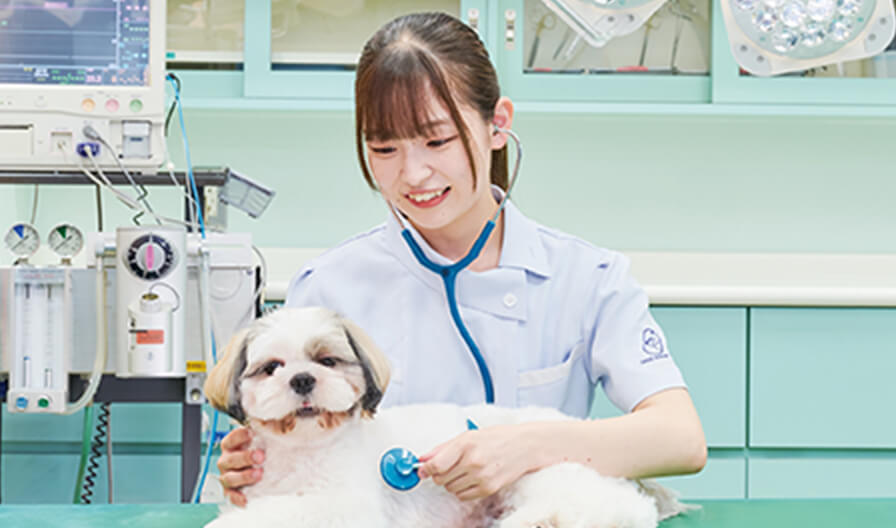 愛玩動物看護科