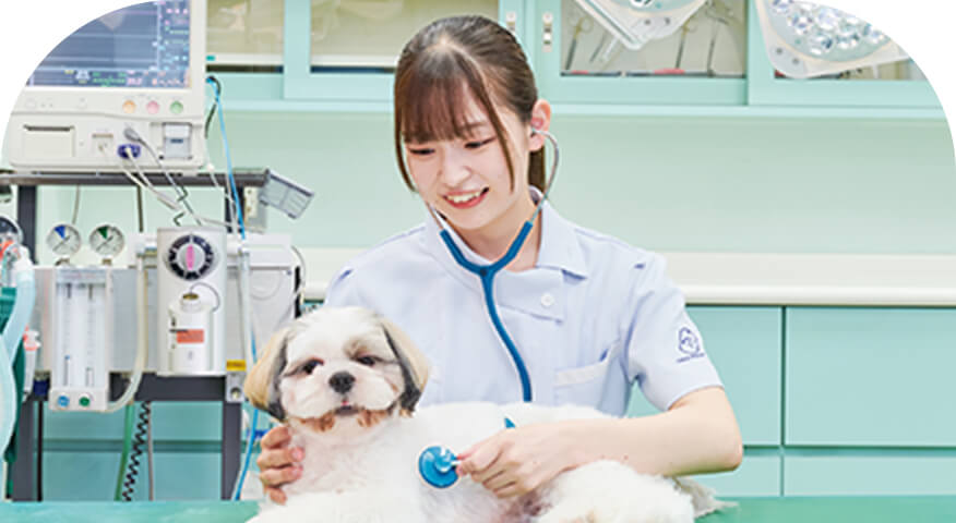 愛玩動物看護科