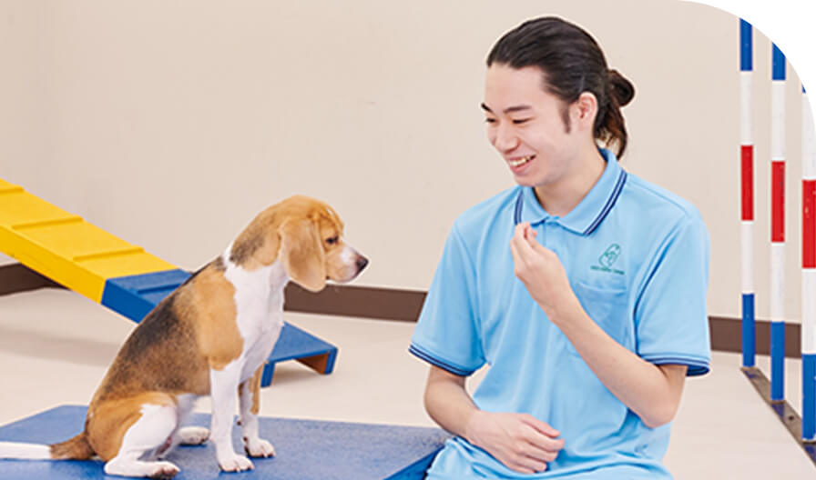 動物共生研究科