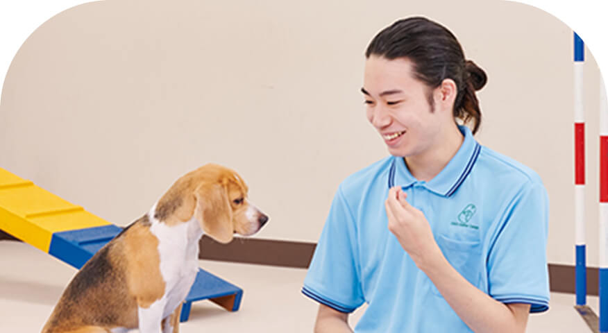 動物共生研究科