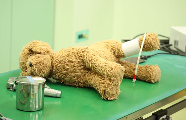 動物の救命救急を体験しよう