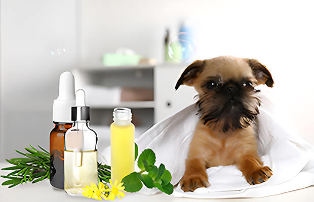 アニマルアロマセラピー