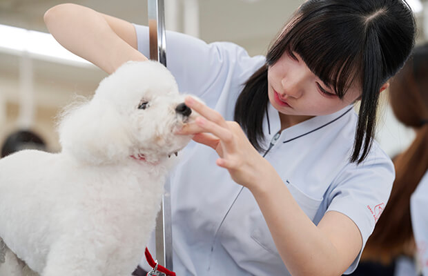 カット実演＆はさみ体験