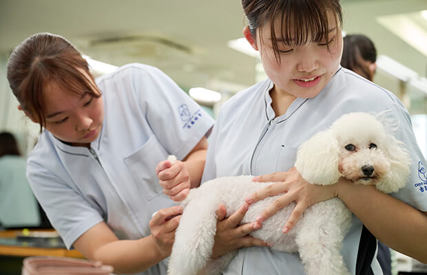 バイタルサインをキャッチしよう