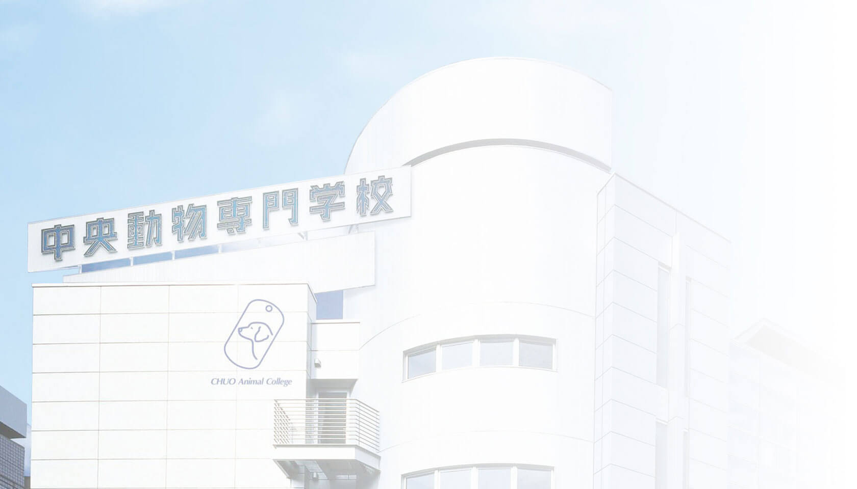 中央動物専門学校