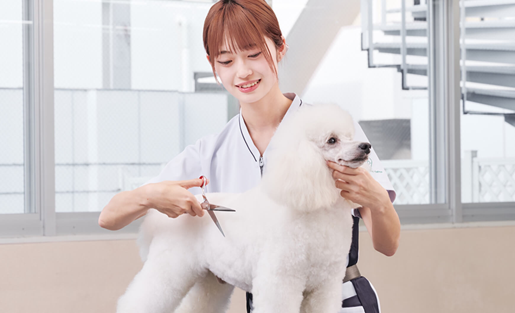 愛犬美容科(2年制)愛犬美容研究科(3年制)