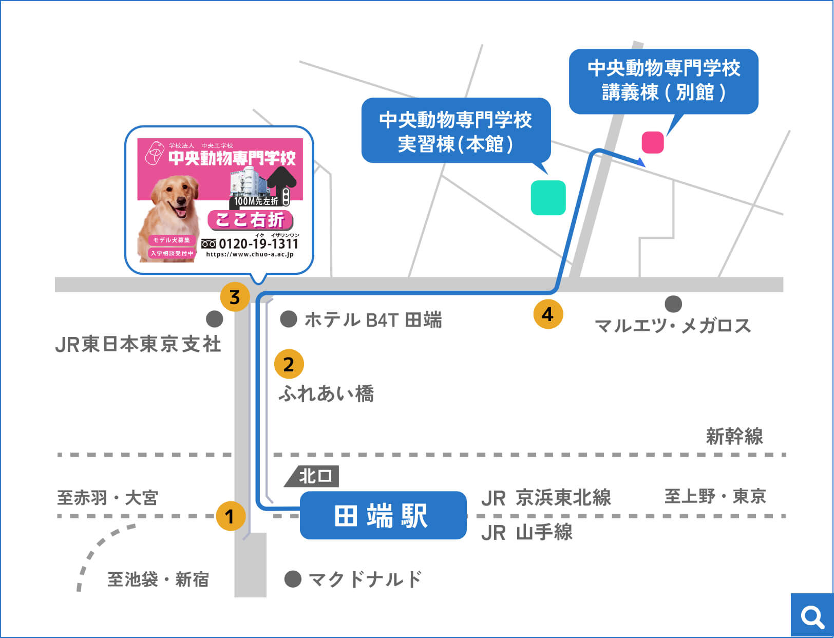 中央動物専門学校 駅からのアクセス