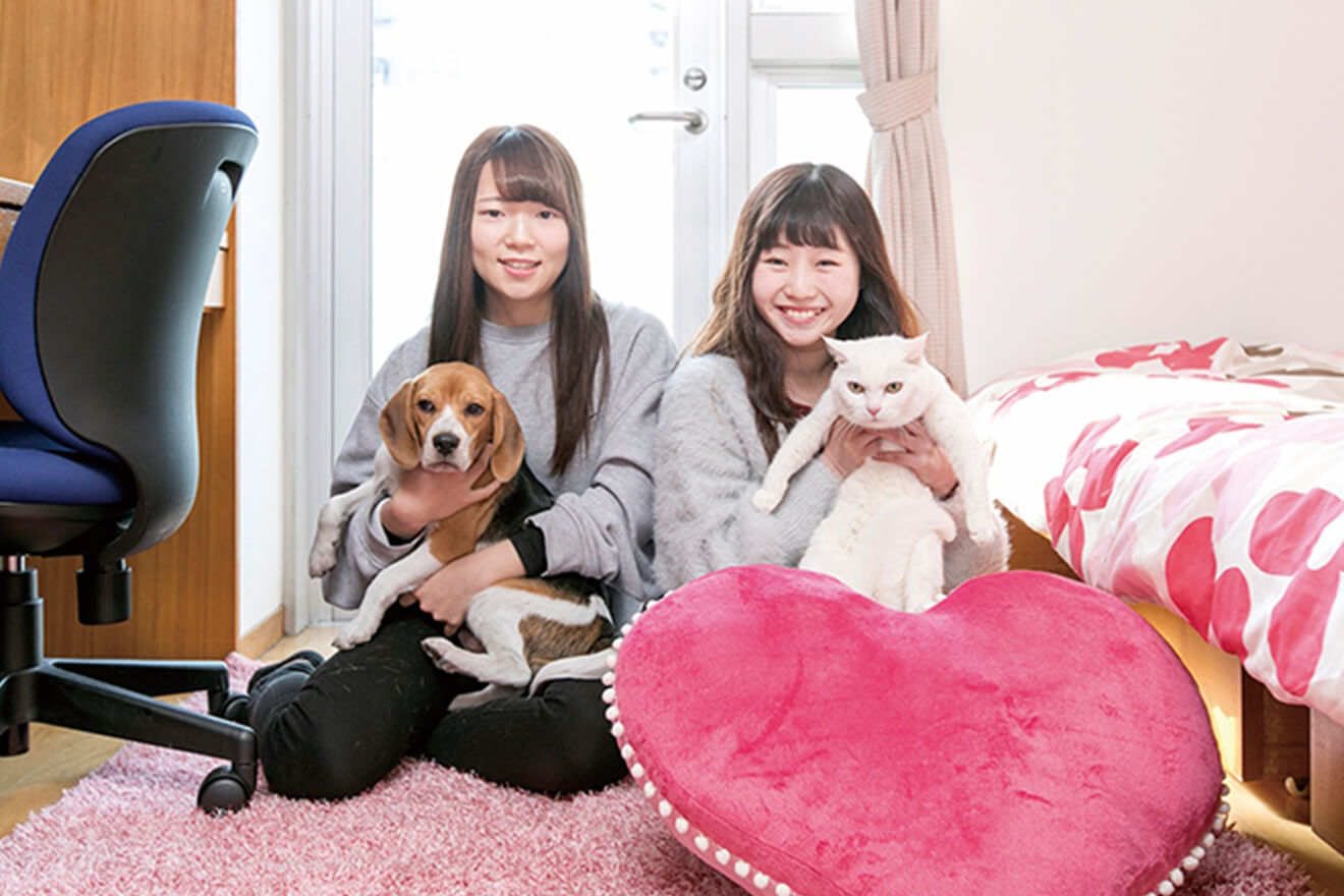 学校直営学生マンション クワドラングル志茂(男女共用)