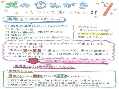 ポスター制作課題 中央動物専門学校blog